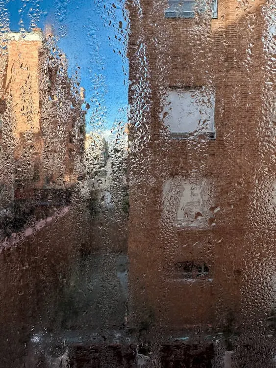 Ventana con condensación en una habitación con humedad