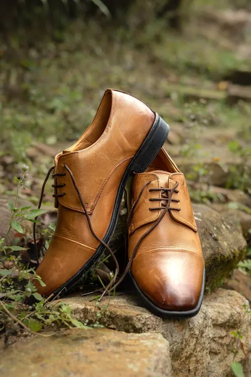 Zapatos organizados en un zapatero ordenado